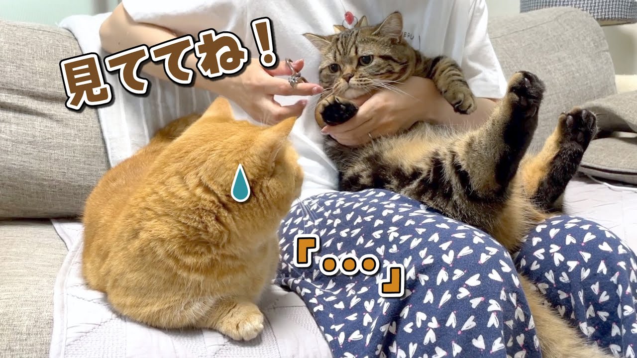 爪切り嫌いな兄猫の目の前で弟猫の爪切りをしてみたら…？
