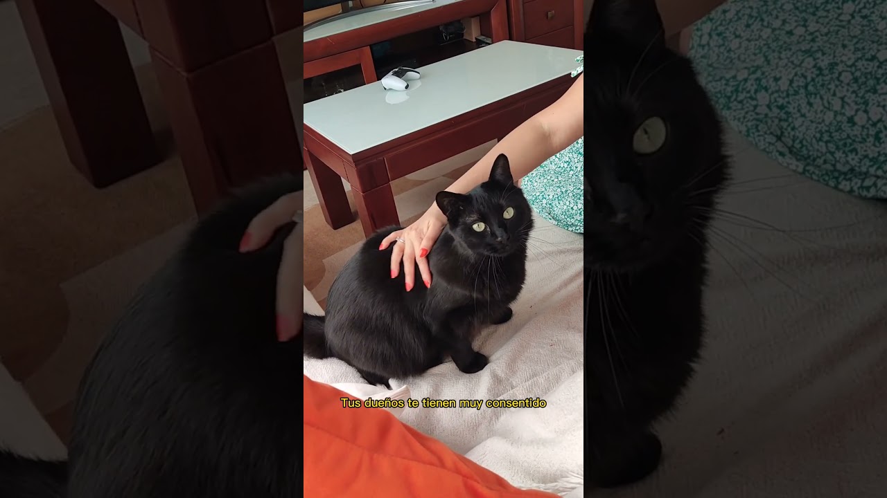 Son mi familia, mis KARENCITOS.