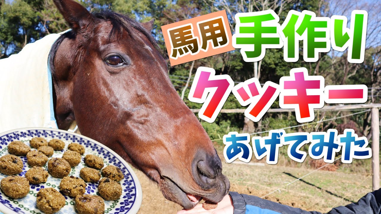 馬たちにレーズンクッキーを焼いたよ！～Yuri's Kitchen～