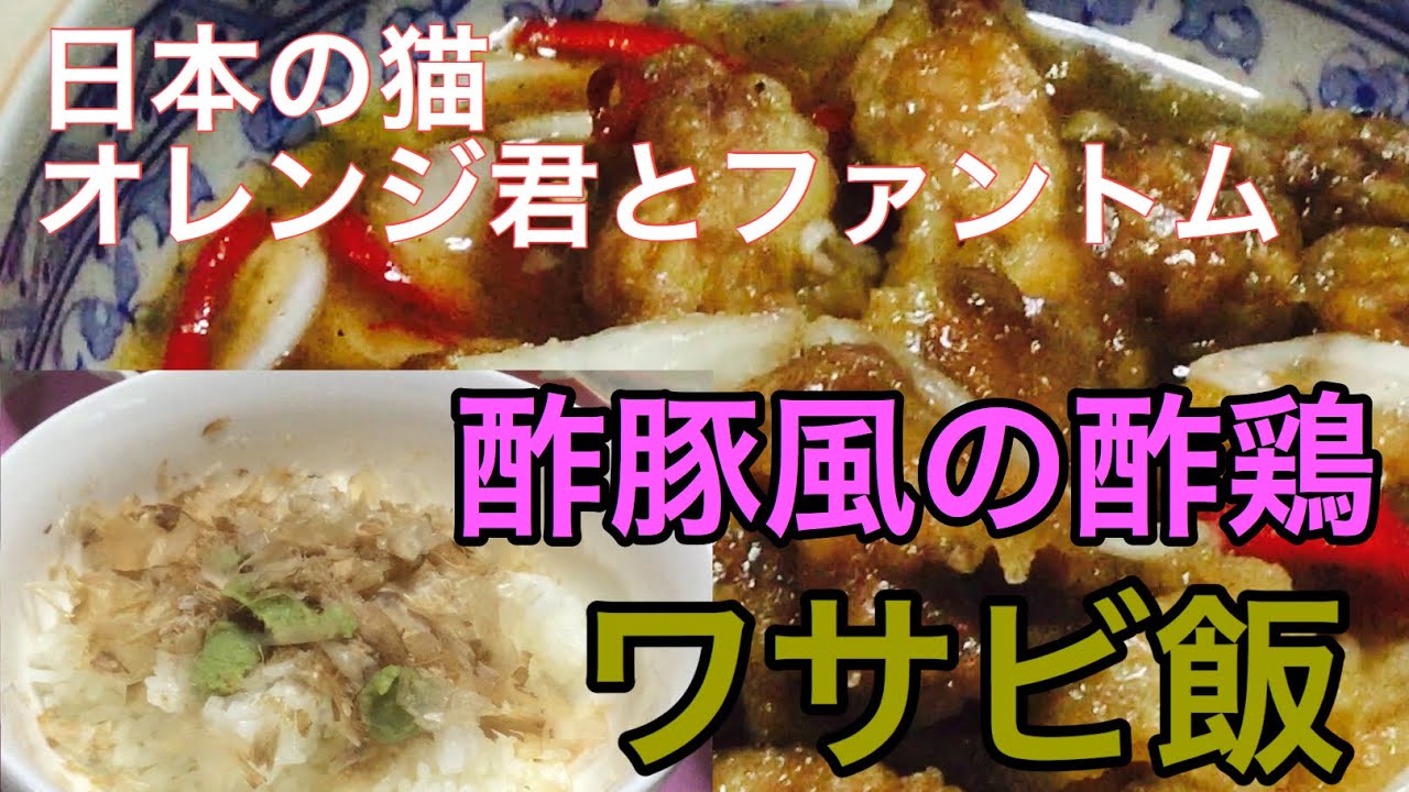 日本猫のオレンジ君と人【猫】格者ファントム君！酢豚風酢鶏とワサビ飯