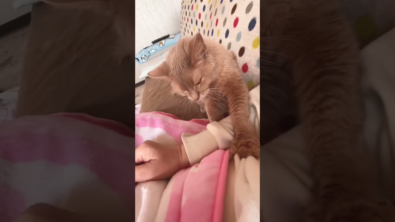 ふみふみタイム　#shorts  #ソマリ