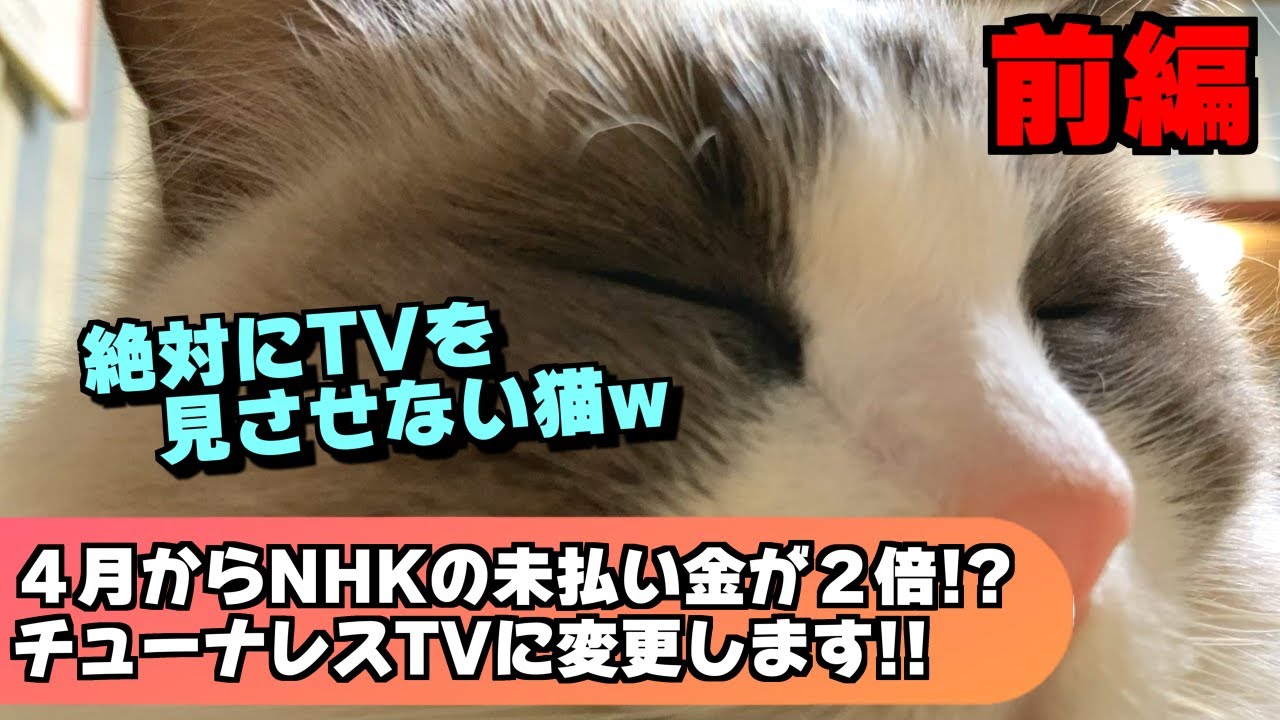 いつもラグドールが目の前で寝るのでTVが見えません（悲）今年の４月からNHKの未払いの割増金が２倍になるのでチューナーレスTVに買い替えようか（前編）【猫のナレーション】