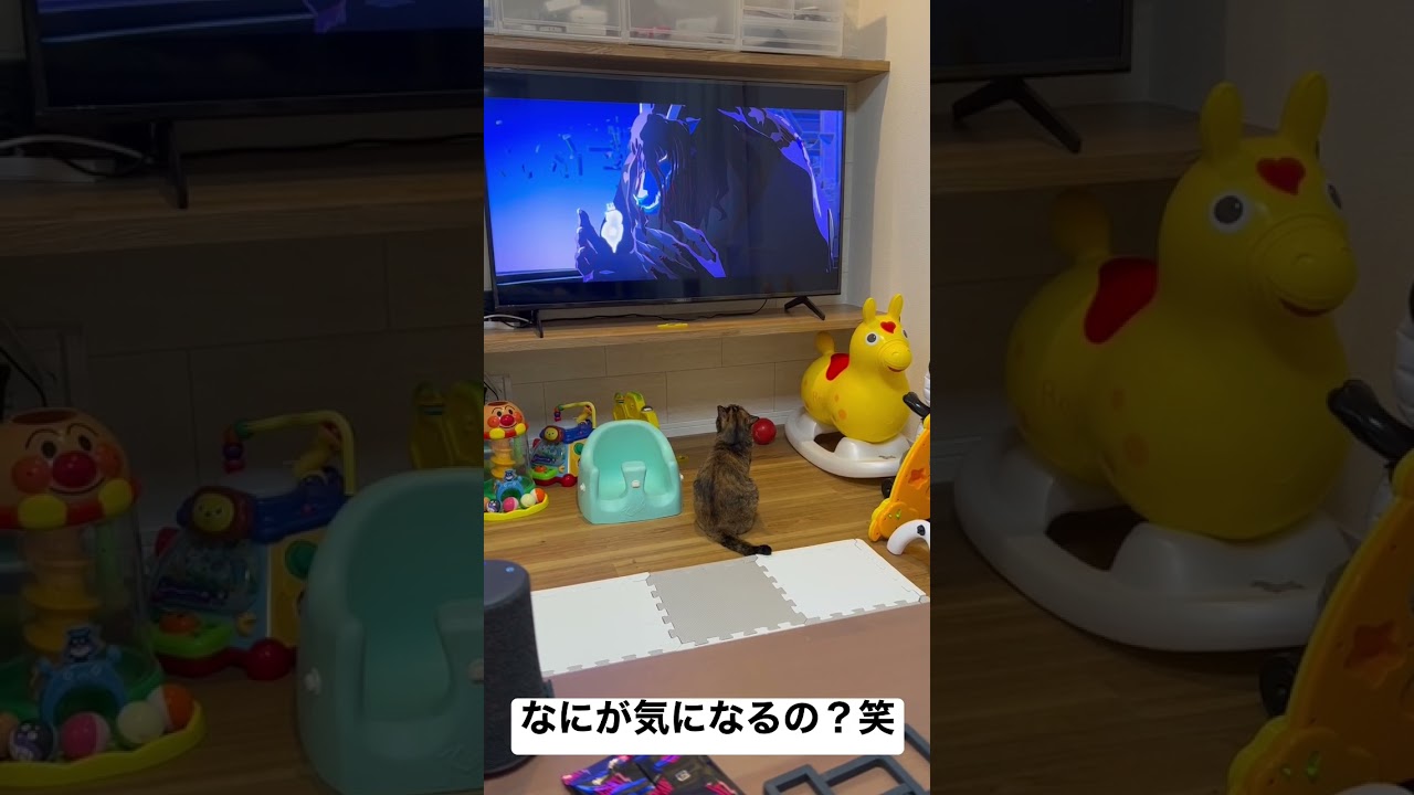 竜とそばかすの姫とソマリ。#shorts #cat