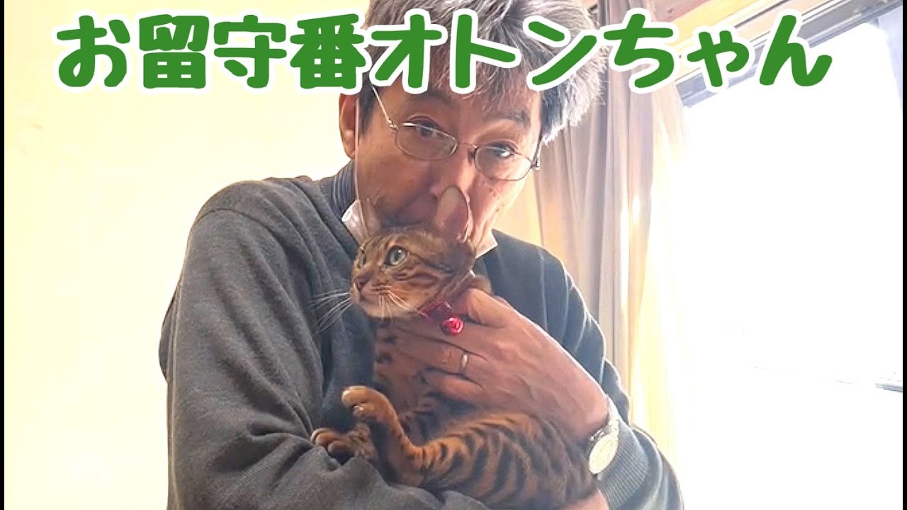 オトンちゃん1人お留守番で撮影してくれた猫達の映像