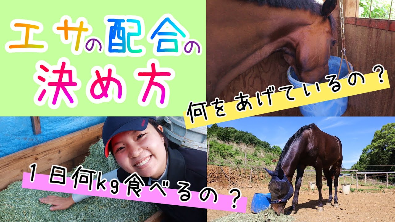 エサの配合ってどうやって決めるの？