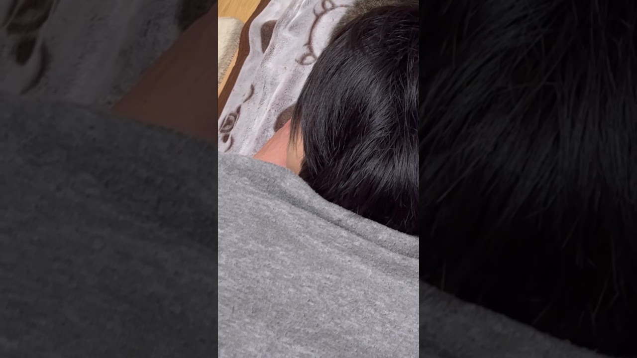 猫猫猫？😼😺🙄 #shorts #メインクーン #きじとら猫