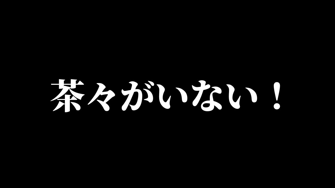 家の中、どこを探しても茶々がいない！