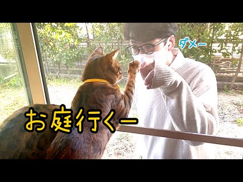 飼い主を追ってお庭に出たくてニャーニャー鳴きまくる猫さん