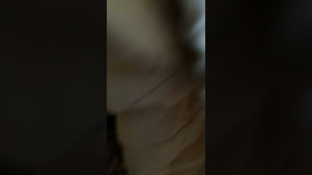 あつくなってきたな～やっぱり寒い#アメリカンショートヘア