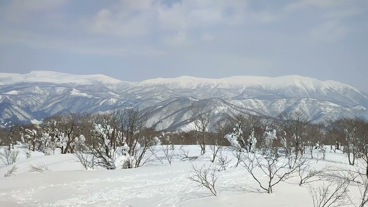2022年3月12日　番城山スノーシューハイク