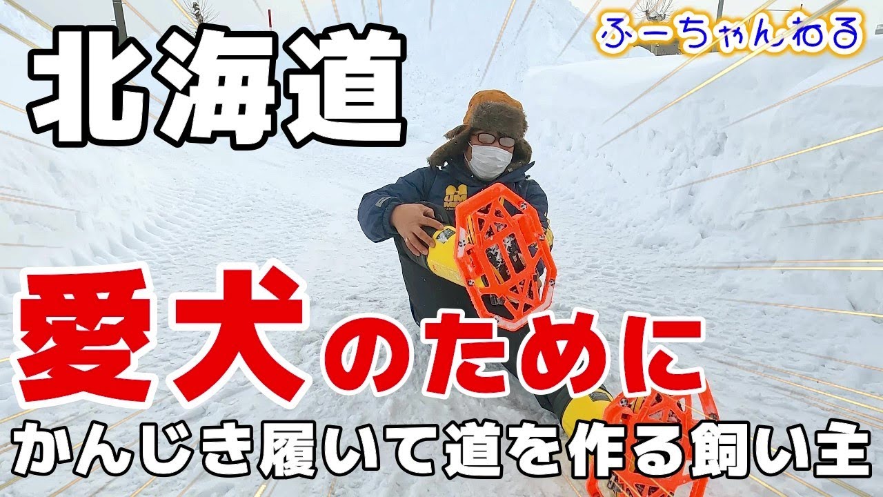 【豆柴犬】かんじきを履いて数百メートルも雪の中に新しい道を作るお父！