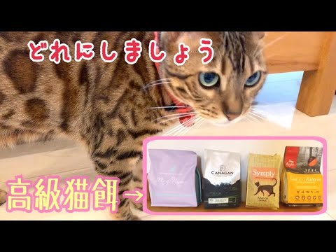 今の餌に飽きた猫達に高級フード5種を食べ比べしてもらおう！