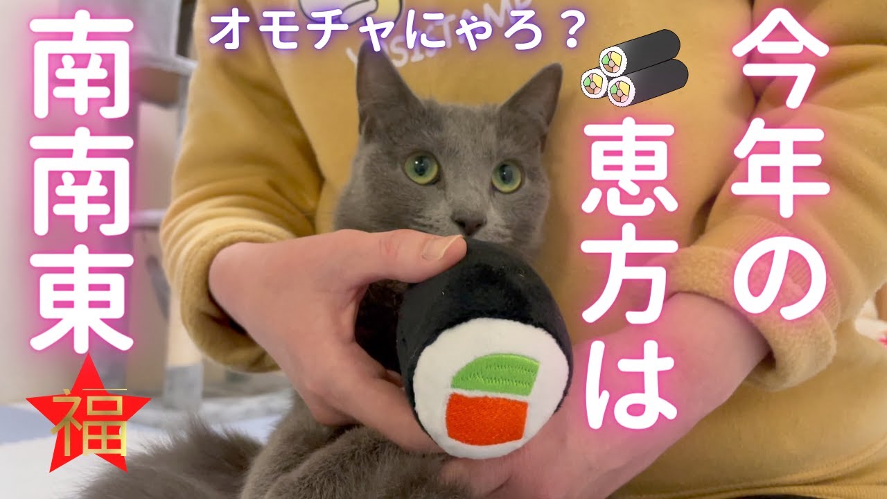 福を招き入れようとする猫（ロシアンブルー）
