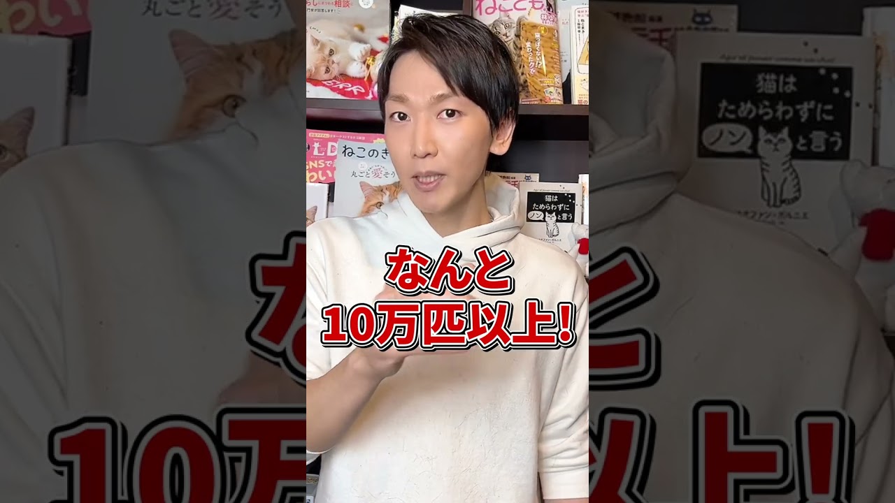 猫が販売禁止！？フランスで起きた衝撃の事実