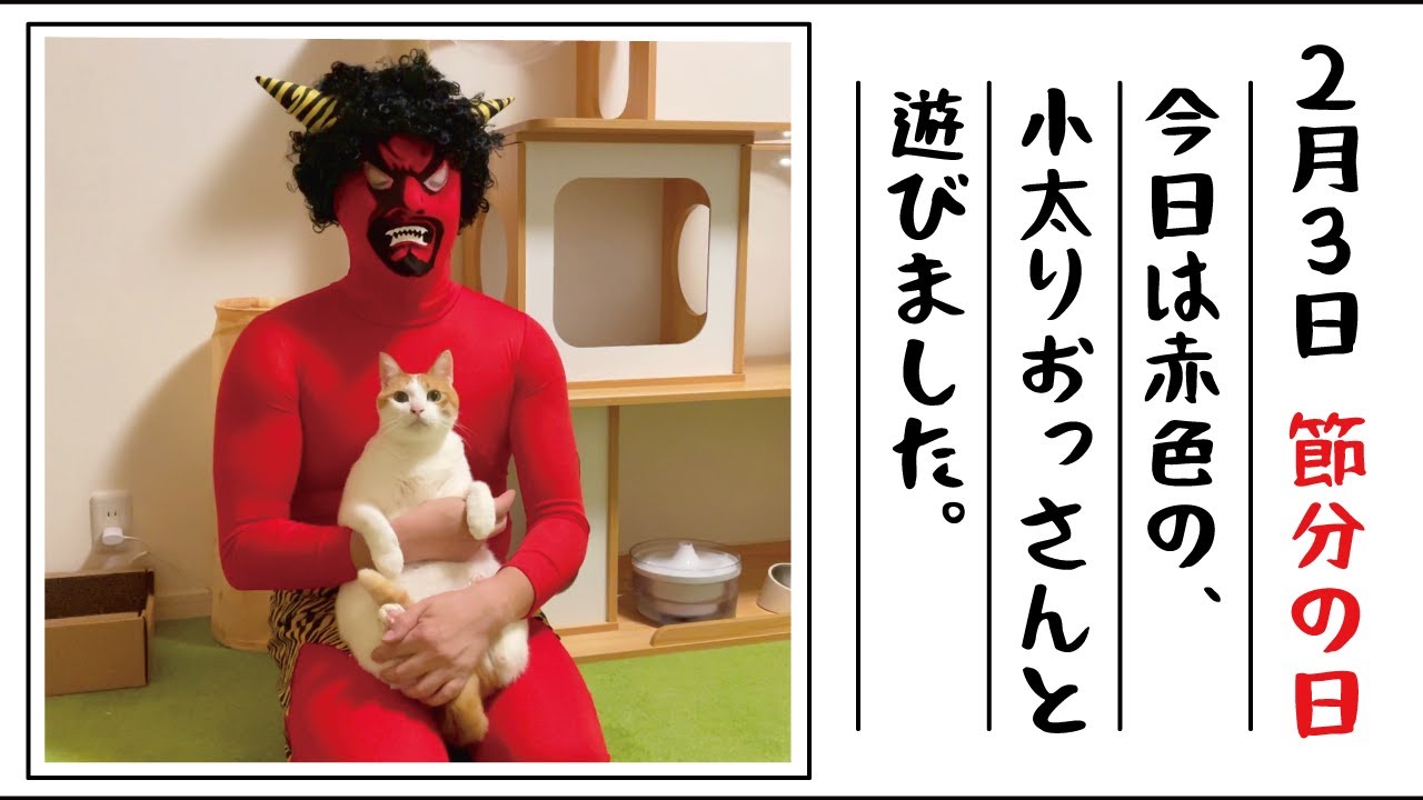【節分】今年は赤鬼さんが猫達と遊びにきてくれました楽しかったです【関西弁でしゃべる猫】