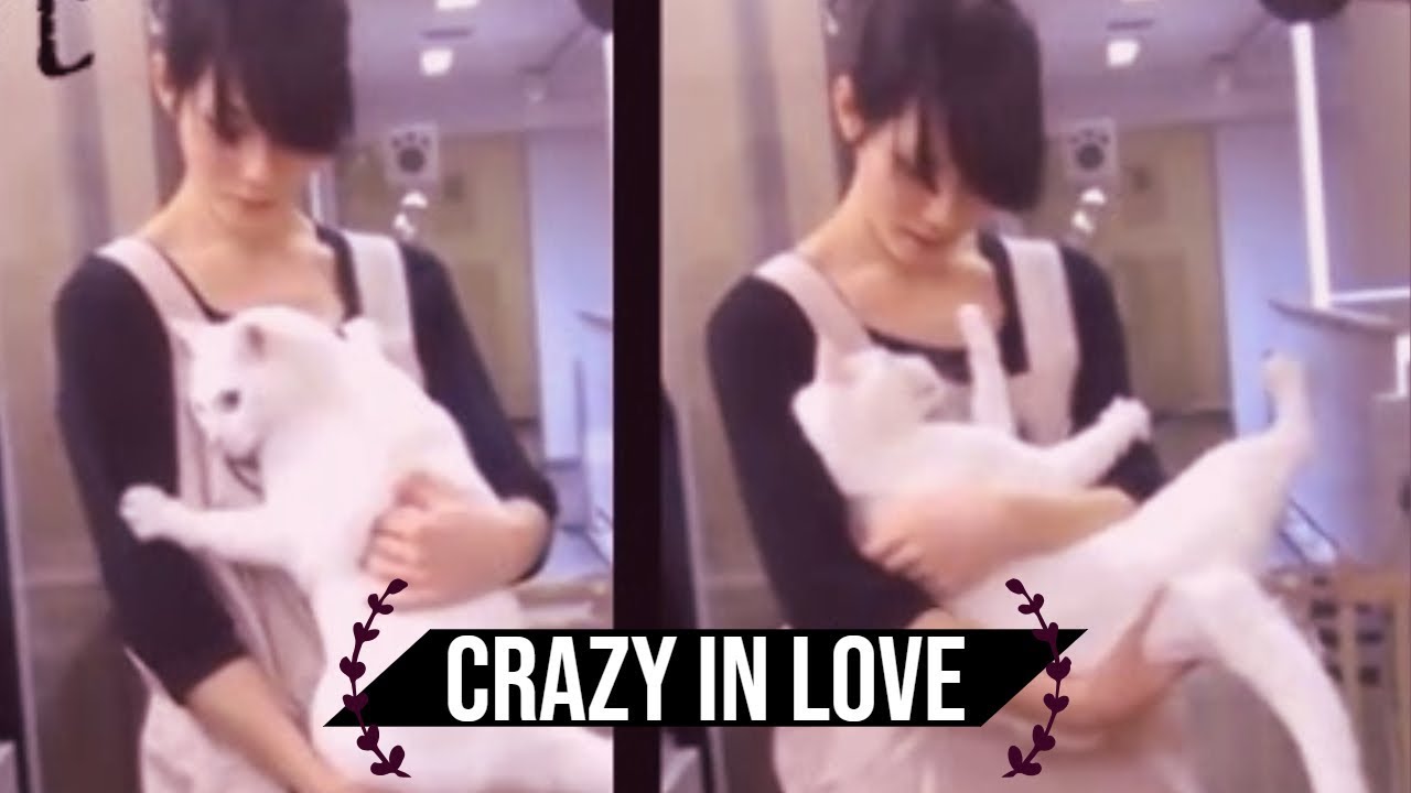 [NEKO TIME] 狂った日本の猫は彼の人間を愛している - 池袋のねころび Cat Cafe