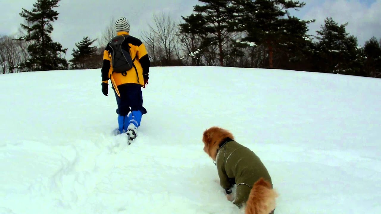 なんちゃってスノーシュー２