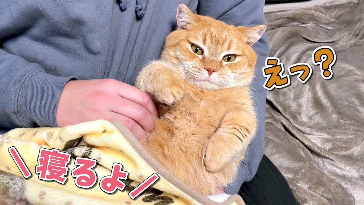 パパのゴッドハンドvsママの寝るよ！どっちを取るのか検証したらまさかの結果に…？