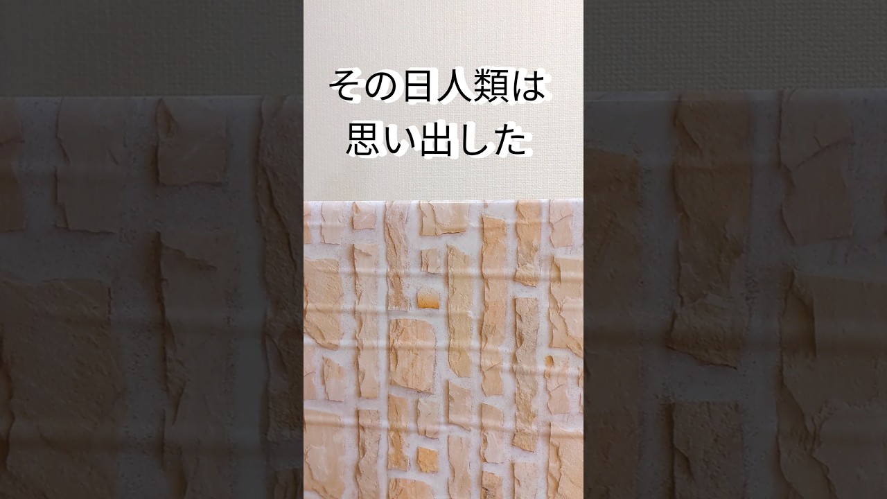 進撃のシャオル#猫 #ラグドール#子猫　