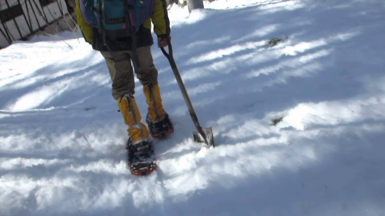 スノーシューで森に。