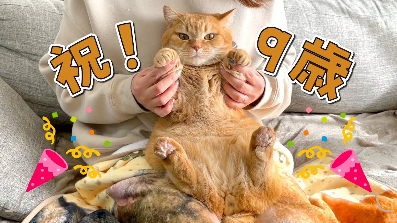 【祝！９歳】誕生日を迎えたプリンのちょっとだけ特別な１日！