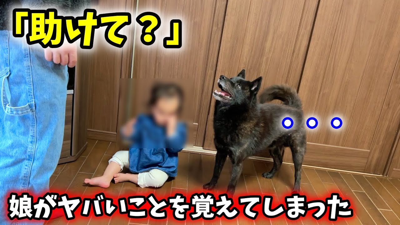 【助けてください】実家帰りの娘が、ヤバいことを覚えてきてしまいました