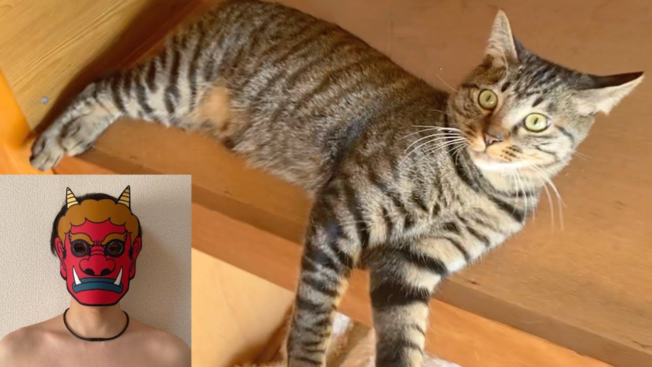 飼い主が鬼になったときの子猫の反応が…