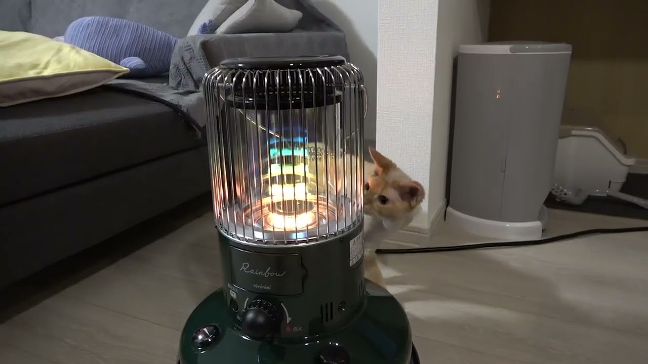 暖かいストーブ+癒しのデボン猫のコラボ最高