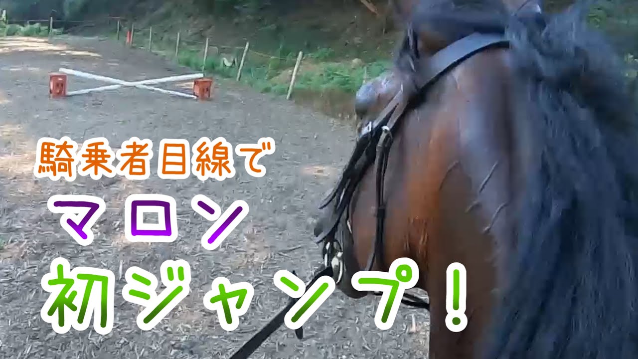 【GoPro】マロンちゃん初ジャンプ！準備から片付けまでの流れ【Riding vlog】
