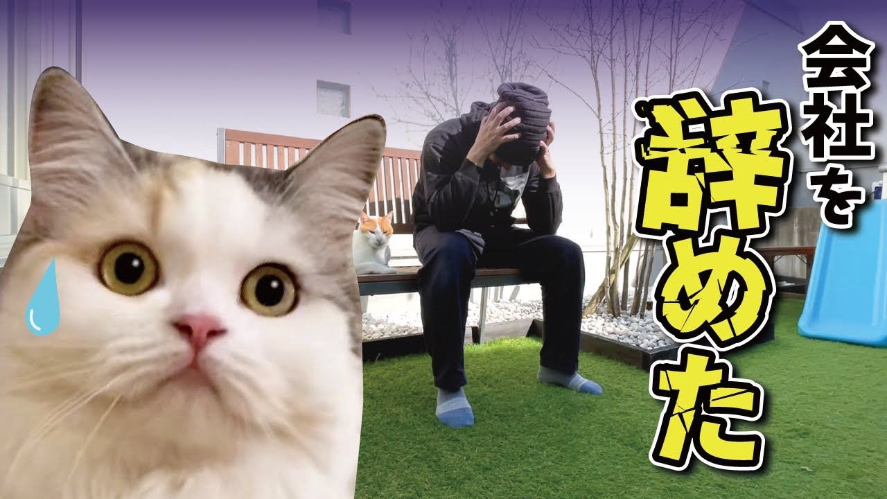 重度のコミュ症が仕事を辞めて猫と暮らし始めた理由【Vlog】