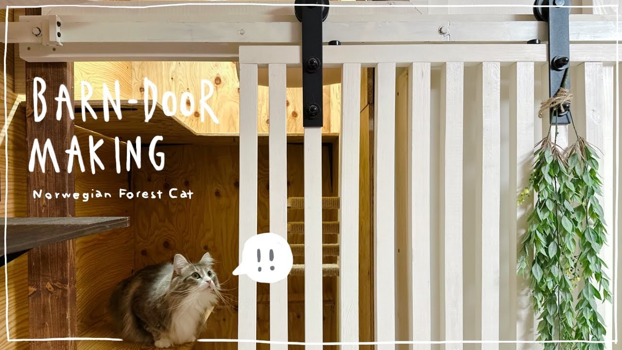 【DIY動画】バーンドア作成🏠 - ノルウェージャンフォレストキャット