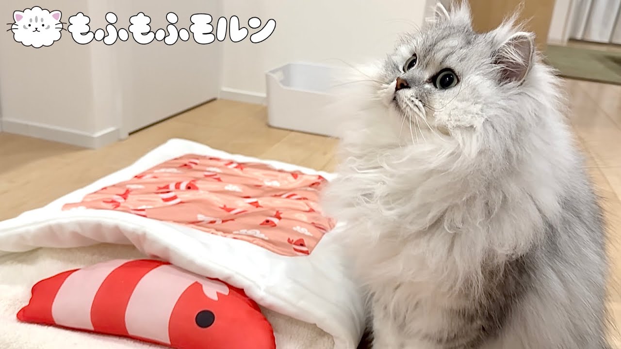 猫用のミニ布団で寝ることはあるのでしょうか？ 【サイベリアン】