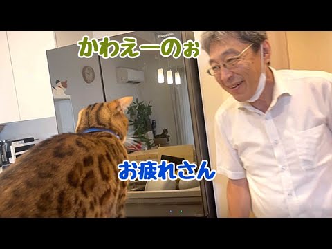 実家の父をきちんとお見送りする父猫テト
