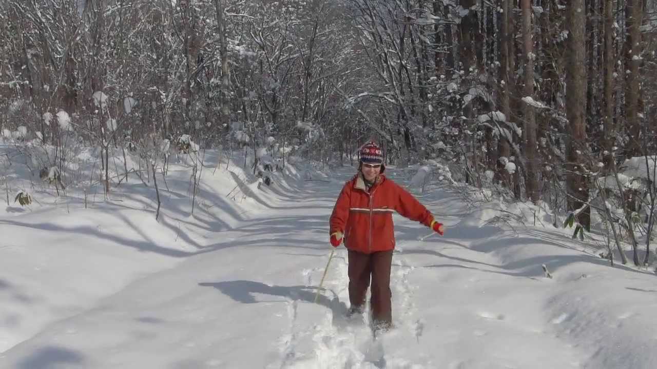 スノーシューを楽しむ