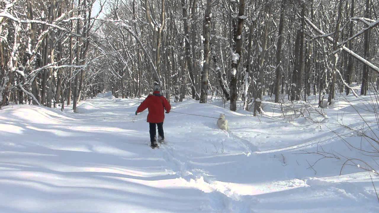 スノーシューでソラと散歩♪