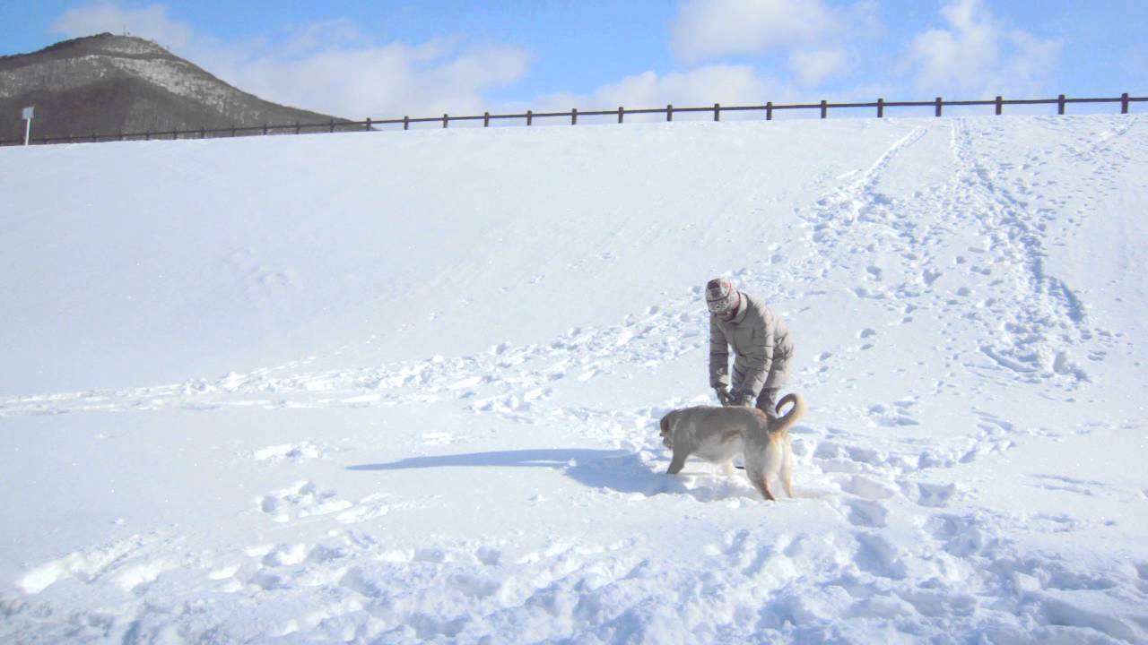 秋元湖でスノーシュー