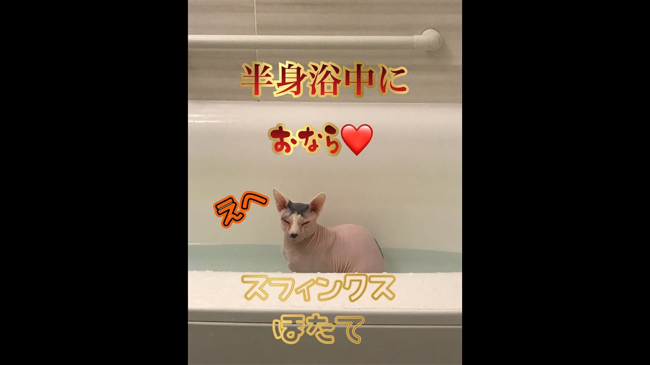 半身浴中におならw