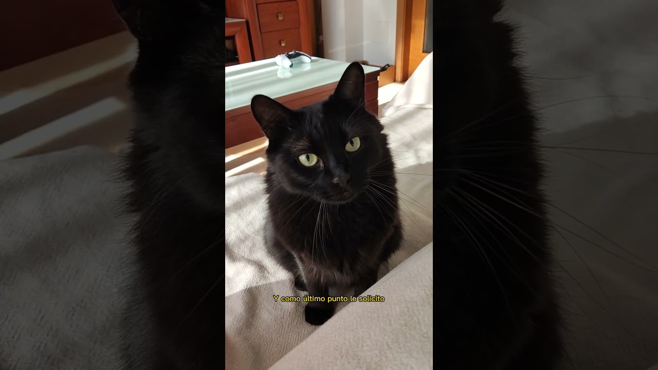 Mensaje al jefe de Karen