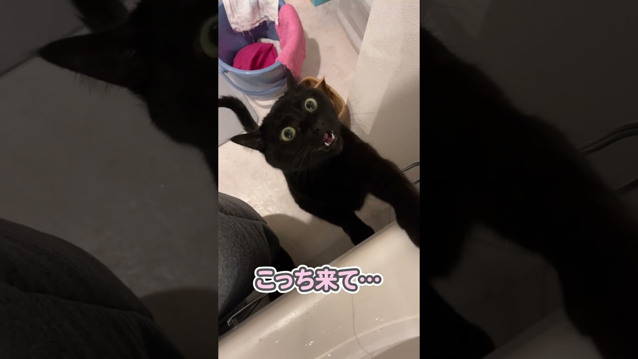 こんな甘え方されたら、ヤバいよ…