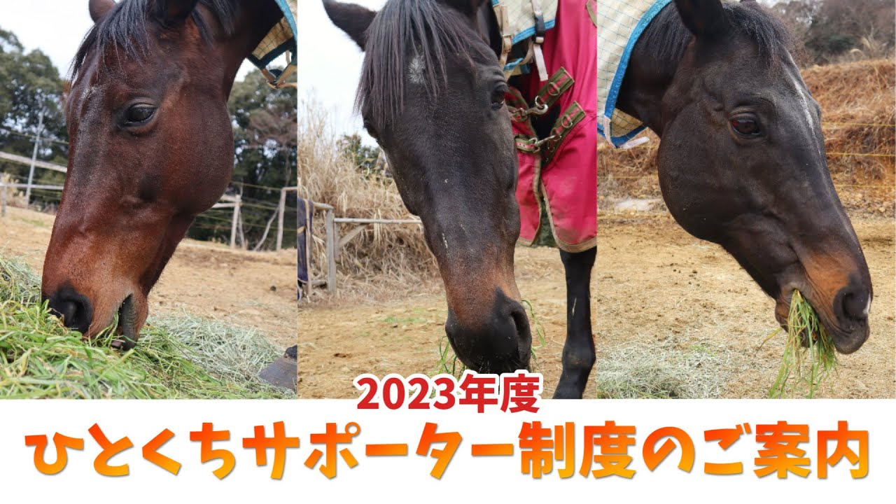 シャムロックひとくちサポーター制度のご案内【2023年度】
