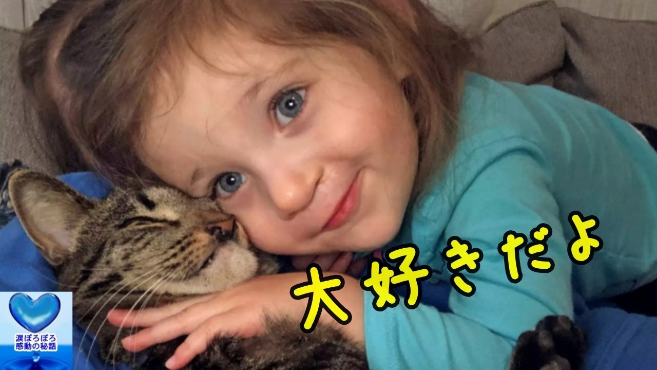 同じ先天障害を持って生まれた少女と子猫の物語。運命的な出会いに心温まる【感動】
