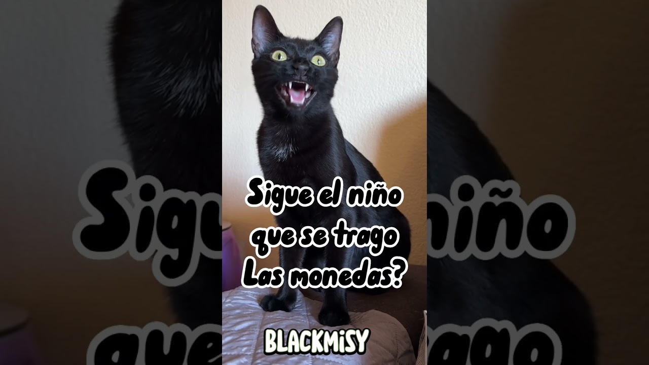 Sabes cómo sigue el niño que se trago las monedas?