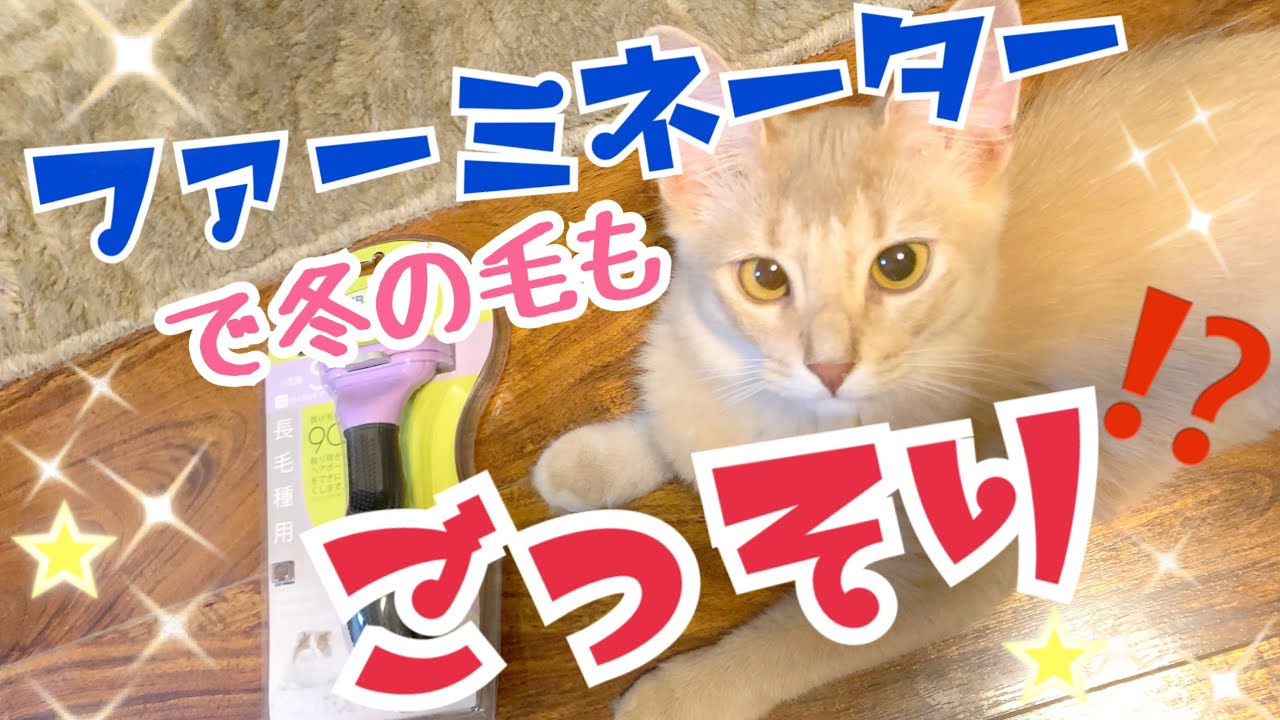 【ソマリ】初ファーミネーターで冬毛ごっそり作戦