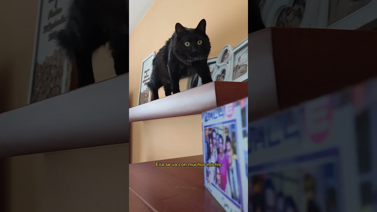 Me volvió a traicionar