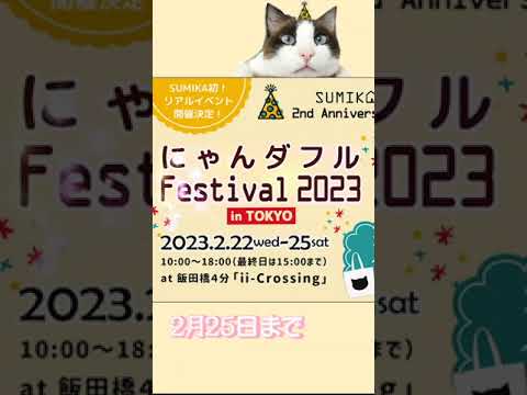 猫の日の猫フェス2023 #shorts Cat day cat festival