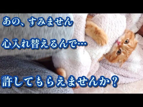 恐怖の噛み癖調教に子猫タジタジ…笑