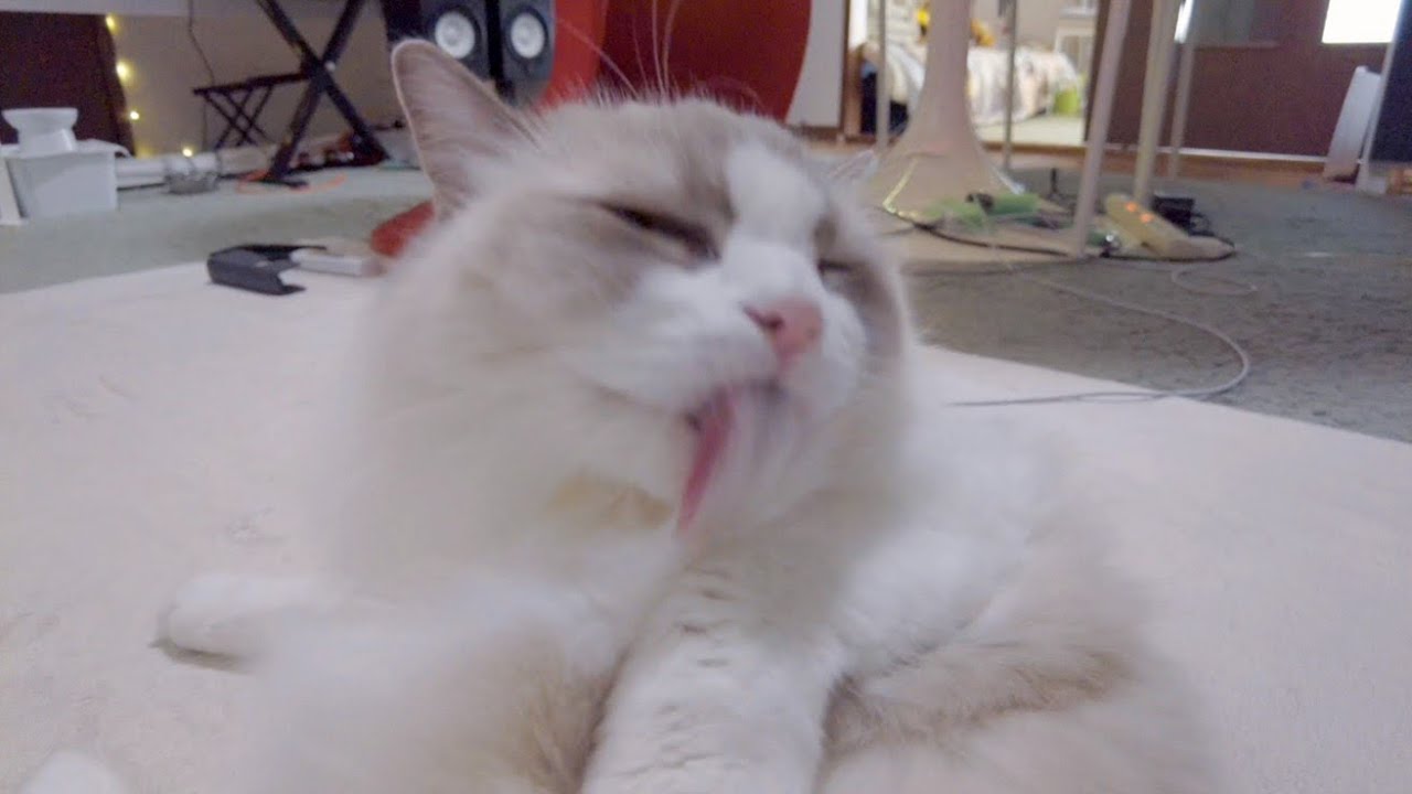 抜け毛がすごい！抜け毛対策…おすすめ