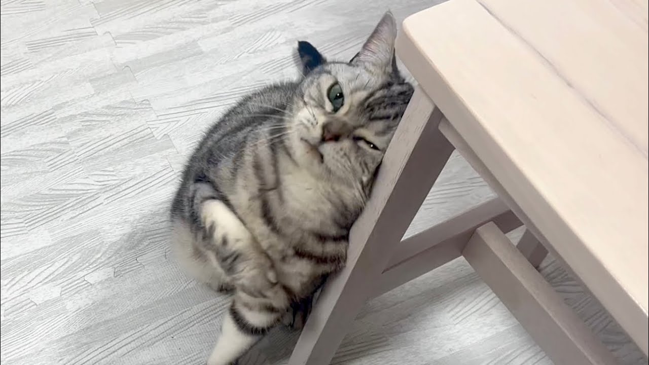 突然はじまるあいちゃんのこすりつけアピール！