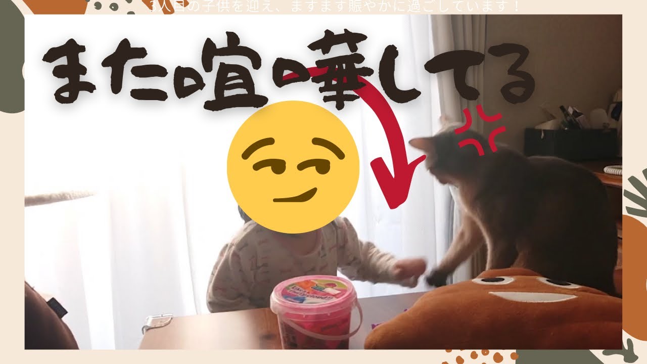 イラついてる猫と楽しそうな娘（ベンガル猫とアビシニアン）BEST FUNNY CATS&KITTENS