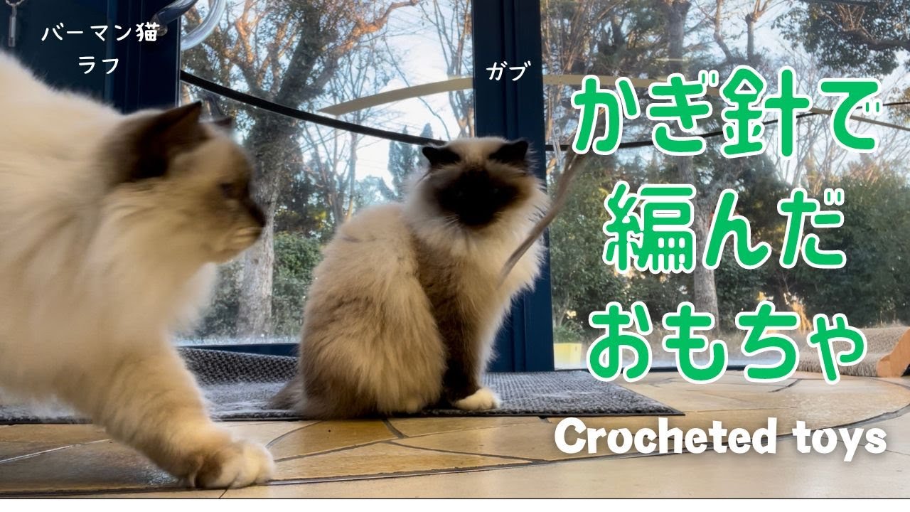バーマン猫ミカとラフとガブ【かぎ針で編んだおもちゃ】Crocheted toys（バーマン猫）Birman/Cat